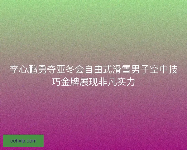 李心鹏勇夺亚冬会自由式滑雪男子空中技巧金牌展现非凡实力